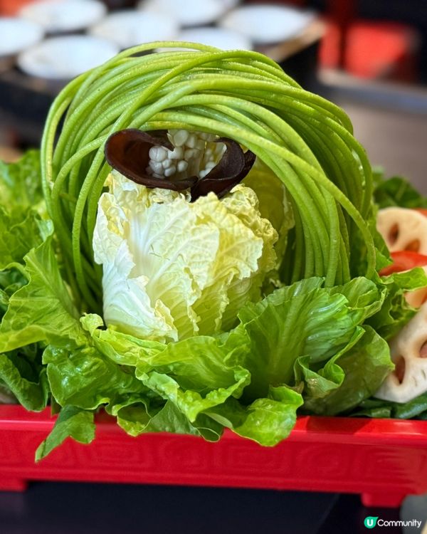 打卡宮廷風打邊爐！📸🍲 椰子雞鍋超正！😋