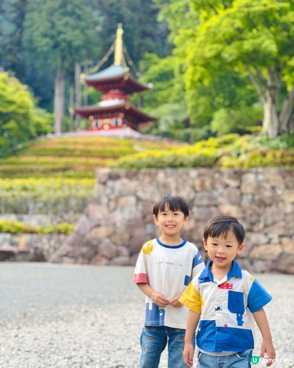 🇯🇵日本大阪｜達摩迷必到聖地⛩️ 