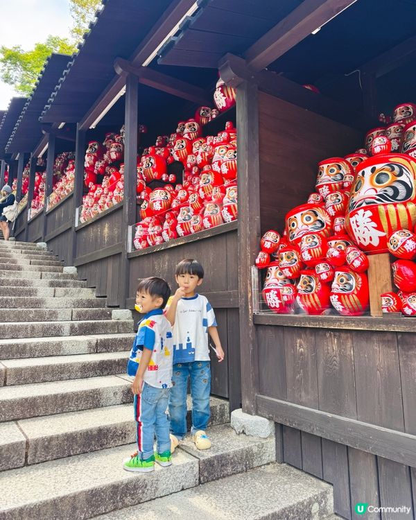 🇯🇵日本大阪｜達摩迷必到聖地⛩️ 