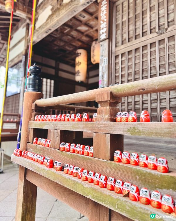 🇯🇵日本大阪｜達摩迷必到聖地⛩️ 