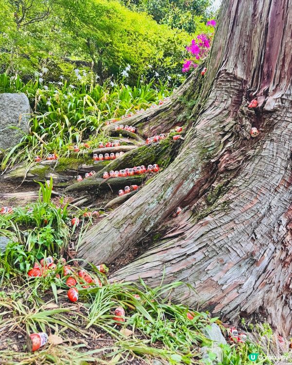 🇯🇵日本大阪｜達摩迷必到聖地⛩️ 