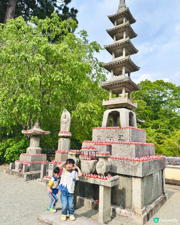 🇯🇵日本大阪｜達摩迷必到聖地⛩️ 