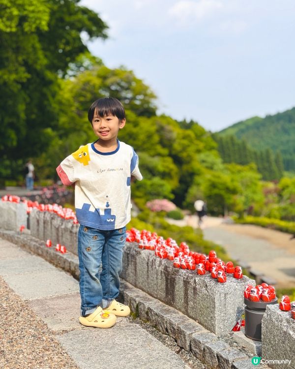 🇯🇵日本大阪｜達摩迷必到聖地⛩️ 