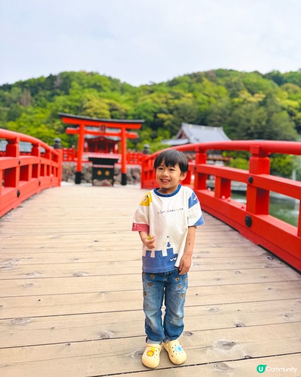 🇯🇵日本大阪｜達摩迷必到聖地⛩️ 