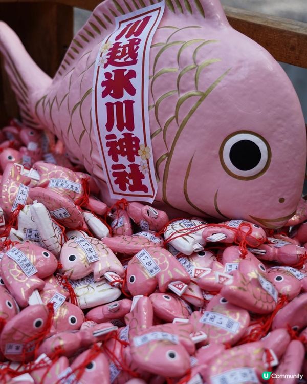 東京近郊神社！穿上浴衣參與川越風鈴祭！