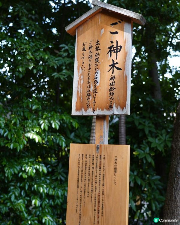 東京近郊神社！穿上浴衣參與川越風鈴祭！