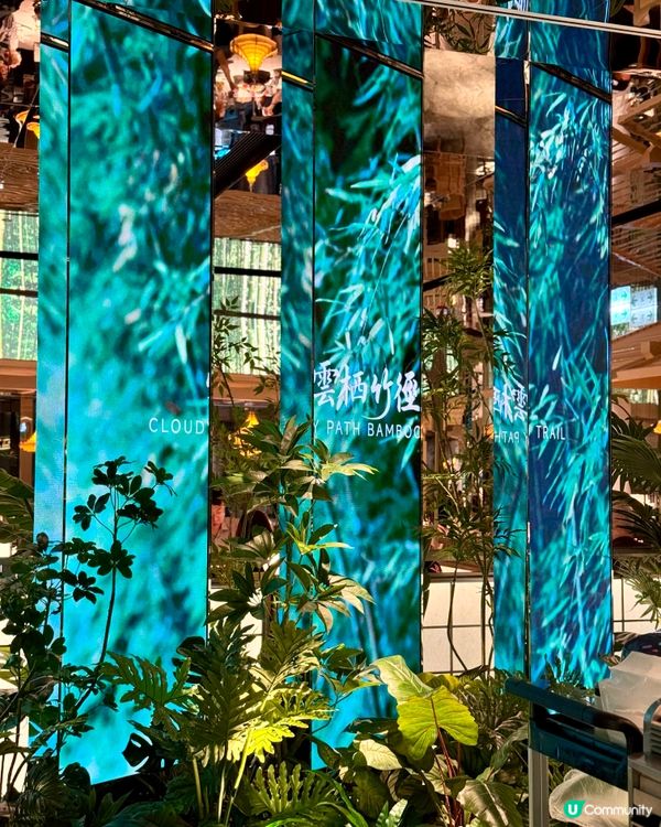 旺角人氣精緻浙菜 色香味俱全性價比高