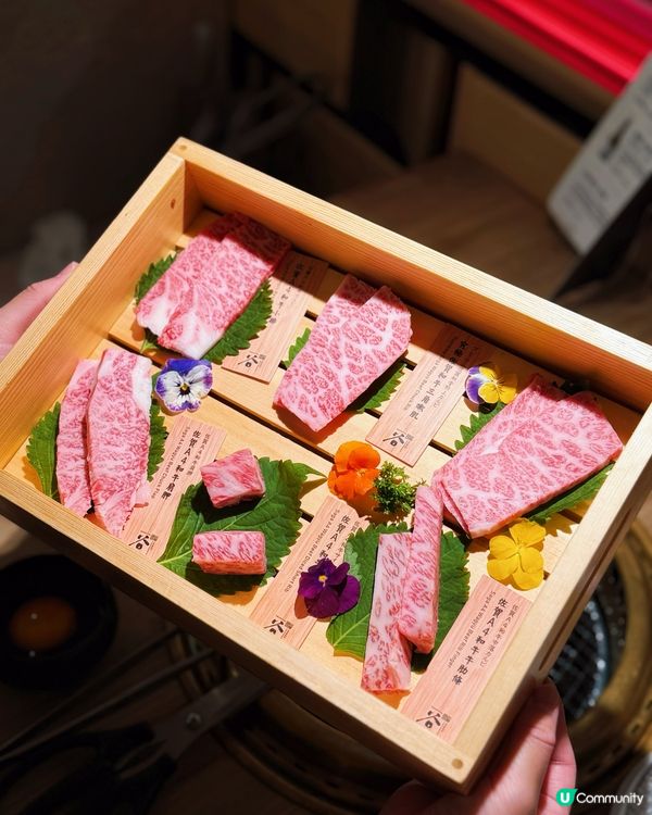 將軍澳超高質日本A4和牛海鮮任食🐮任飲啤酒清酒梅酒🥰🔥