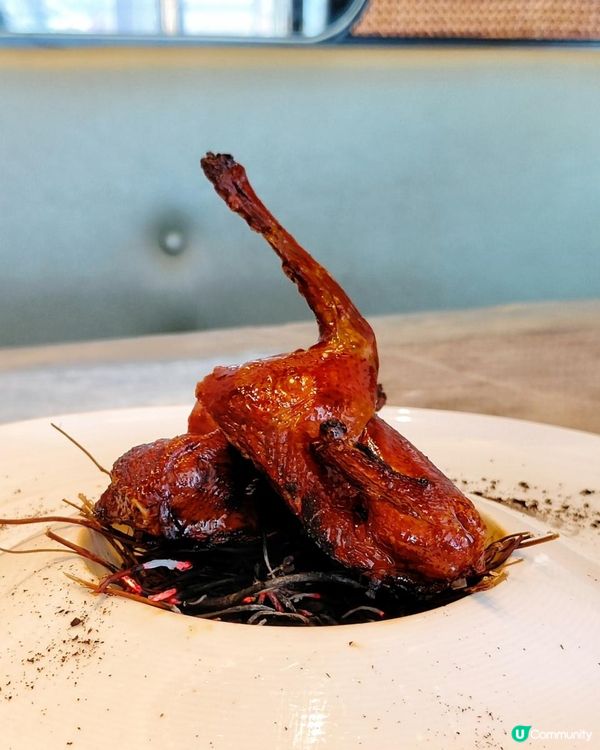 維港靚景！沉浸式享受慢活中餐點心記！