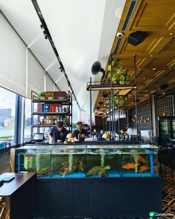 維港靚景！沉浸式享受慢活中餐點心記！