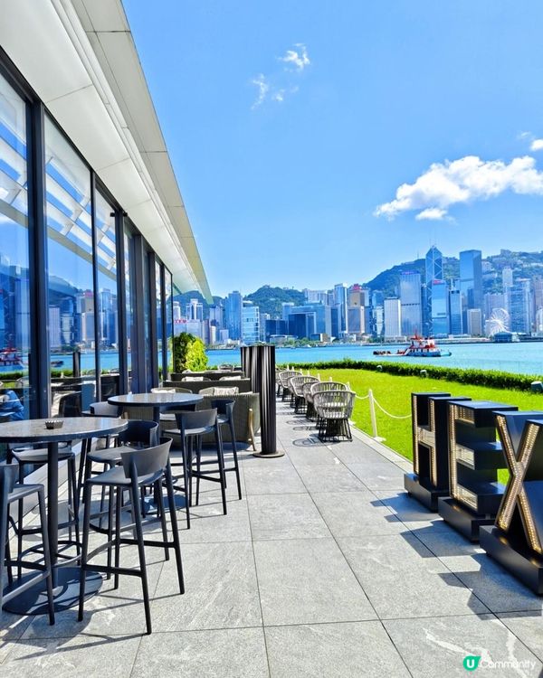 維港靚景！沉浸式享受慢活中餐點心記！