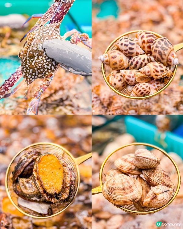 🎉旺角特大新店  即撈海鮮火鍋放題🦀