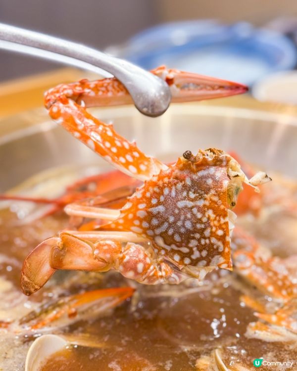 🎉旺角特大新店  即撈海鮮火鍋放題🦀