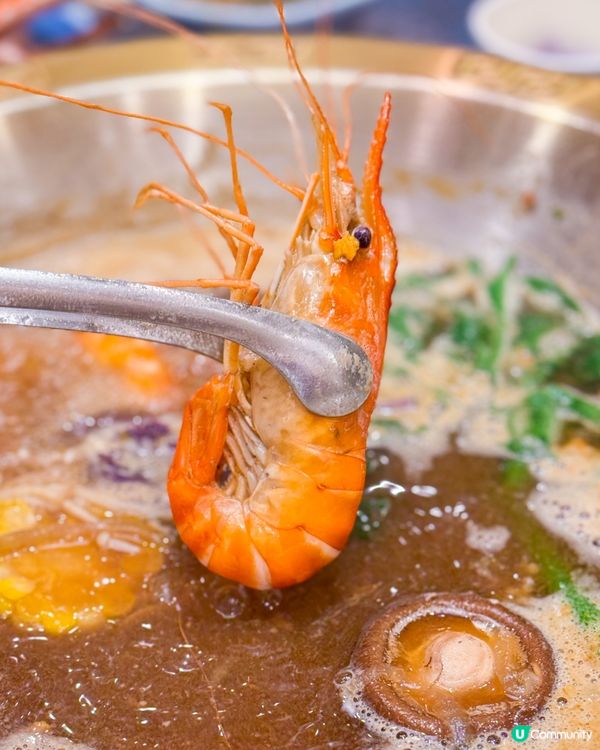 🎉旺角特大新店  即撈海鮮火鍋放題🦀