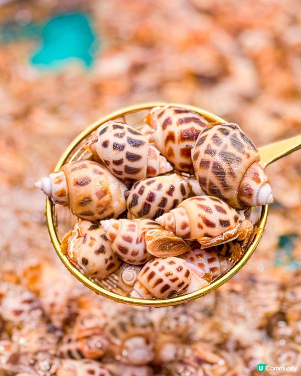 🎉旺角特大新店  即撈海鮮火鍋放題🦀