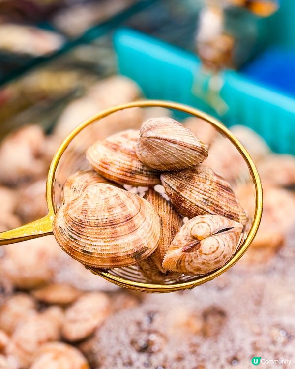 🎉旺角特大新店  即撈海鮮火鍋放題🦀