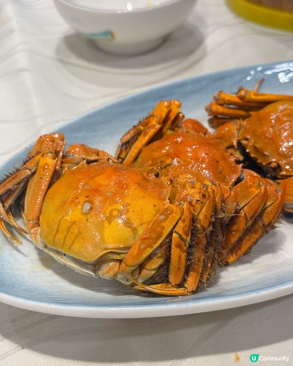 蟹迷注意！佐敦星聚軒任食蟹放題🦀🤤