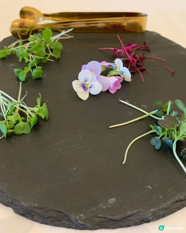 尖咀1881下午茶！環境靚到爆🤩 甜點打卡一流📸