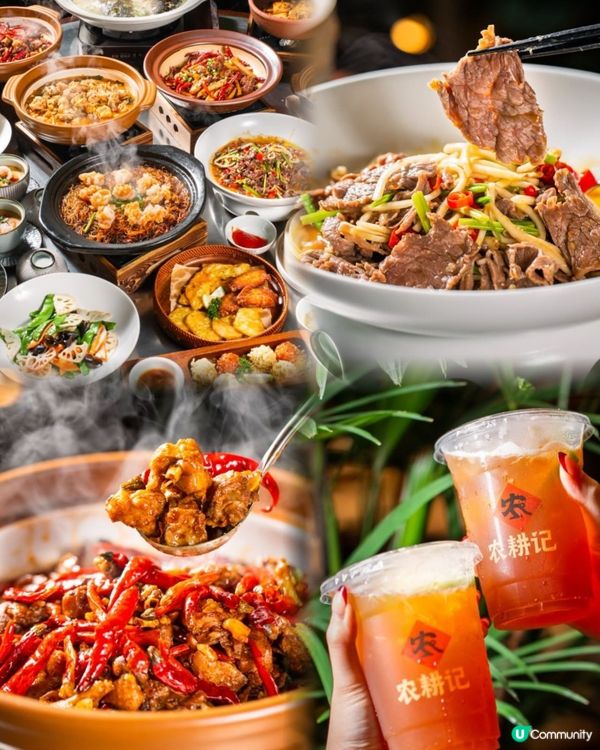 富士山下任我行展覽！🤩 免費入場！快啲嚟！