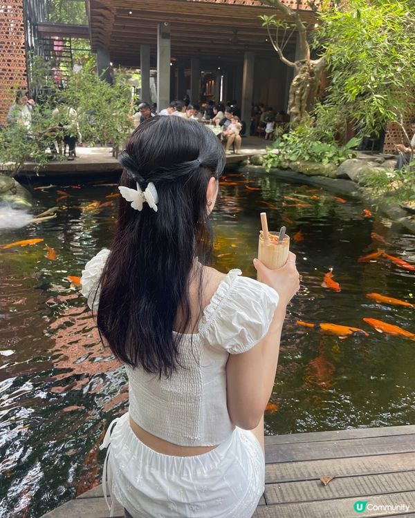 🇻🇳峴港打卡咖啡店推薦🤎