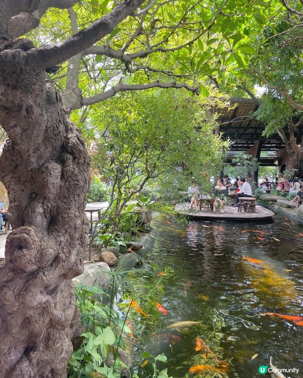 🇻🇳峴港打卡咖啡店推薦🤎