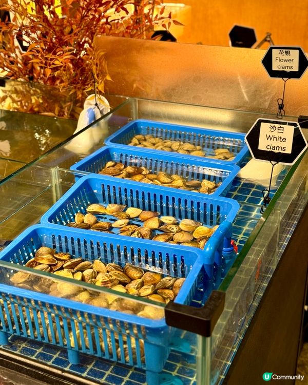 荃灣放題天花板 任食火鍋刺身串燒