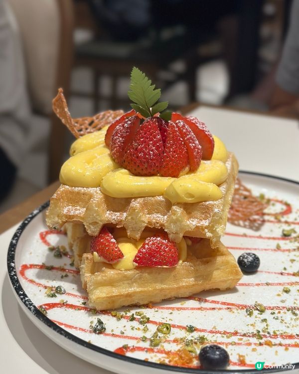 沙田美食推介！😋 舒適西餐廳聚餐！🍝