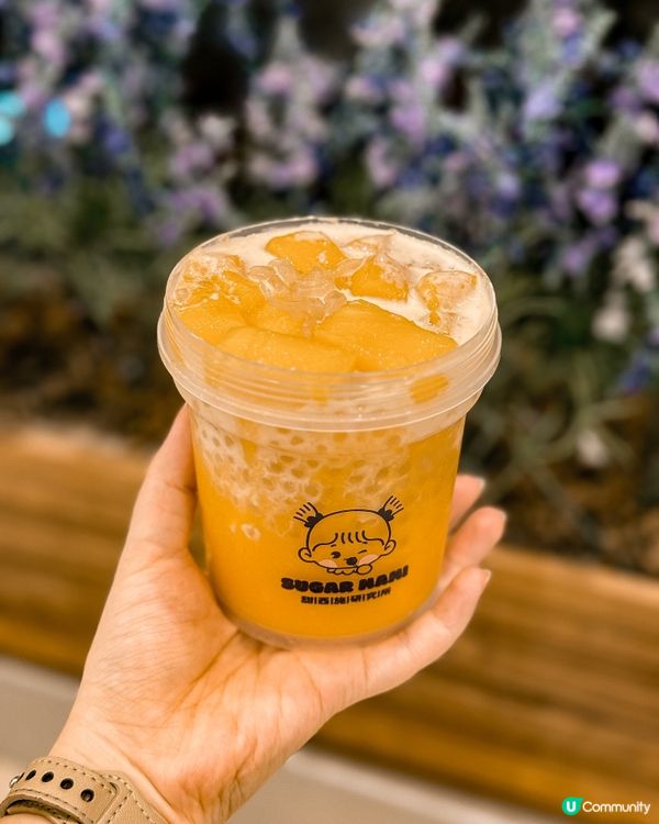 ❝ 📍路德圍˚ 甜西施研究所👩🏻 ❞