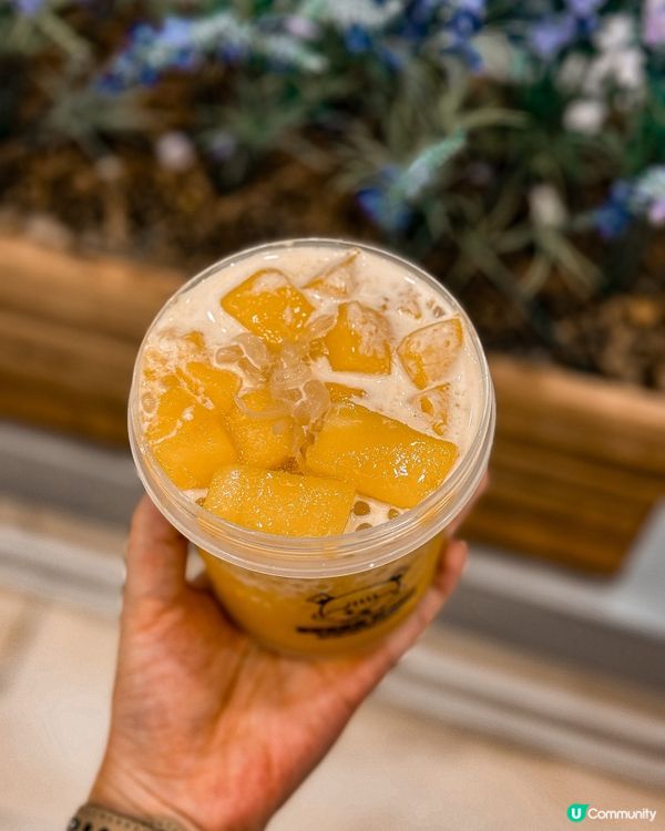 ❝ 📍路德圍˚ 甜西施研究所👩🏻 ❞