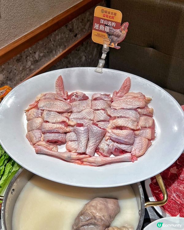 肚包翅深圳必食！🤤 順德公老字號！
