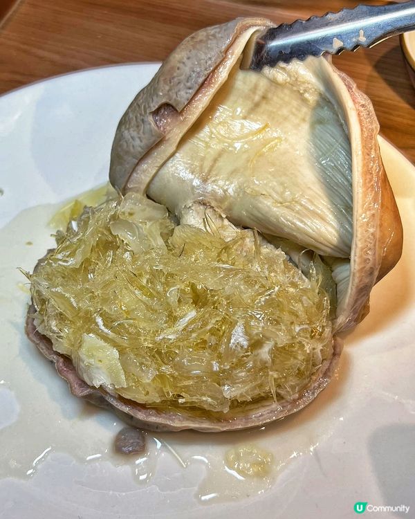 肚包翅深圳必食！🤤 順德公老字號！