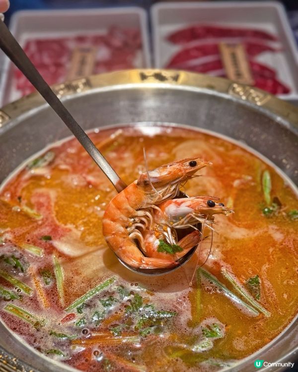 牛站打邊爐放題🤤大頭蝦任食！🦀🦐😋