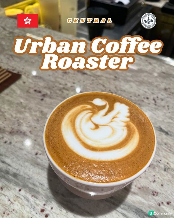 中環白蘭樹下！朝啡夕酒☕🥐 歎世界！😋