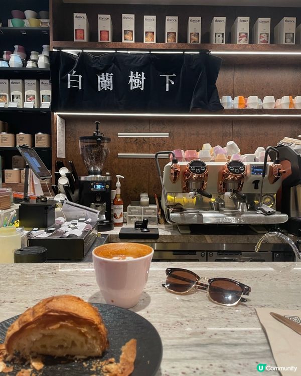 中環白蘭樹下！朝啡夕酒☕🥐 歎世界！😋