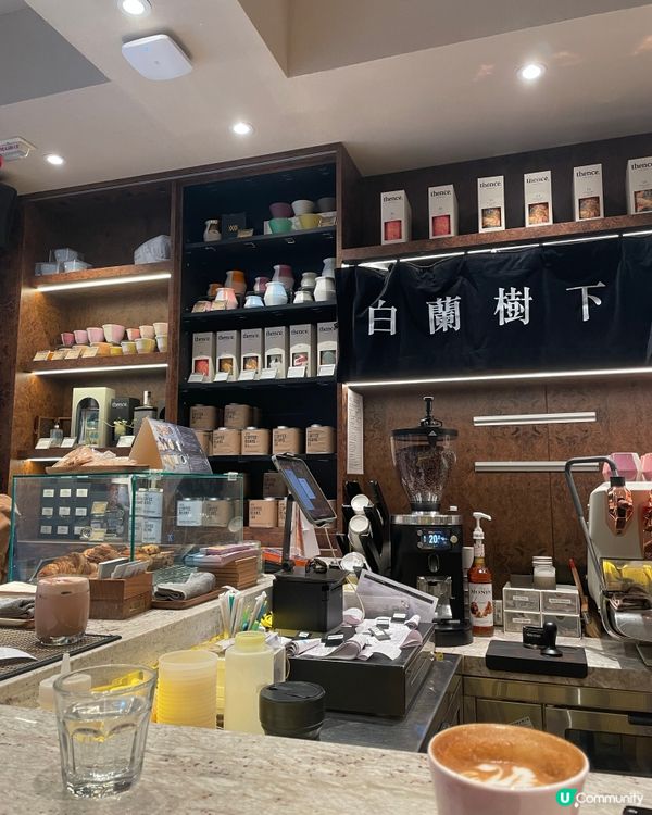 中環白蘭樹下！朝啡夕酒☕🥐 歎世界！😋