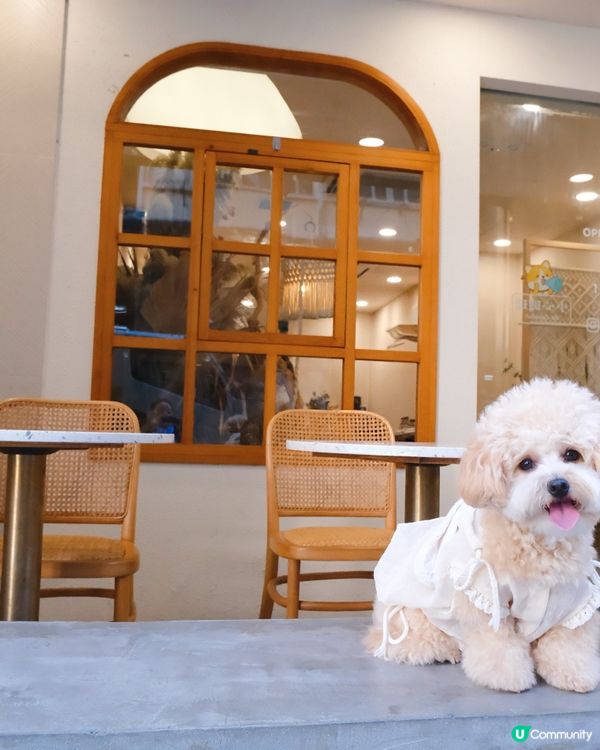 長沙灣寵物有善ᴄᴀғᴇ☕️