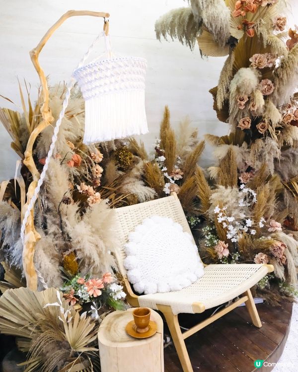 長沙灣寵物有善ᴄᴀғᴇ☕️