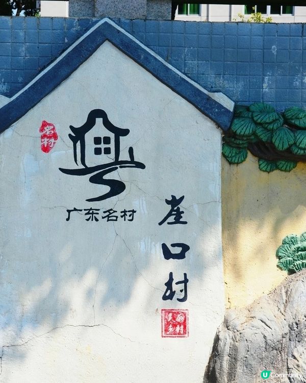 🪻🪻我愛花花之崖口村藍雪花+稻田遊 🌾！ 靚到爆！