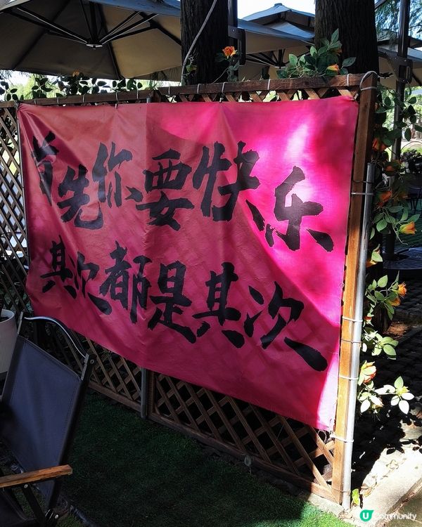 🪻🪻我愛花花之崖口村藍雪花+稻田遊 🌾！ 靚到爆！