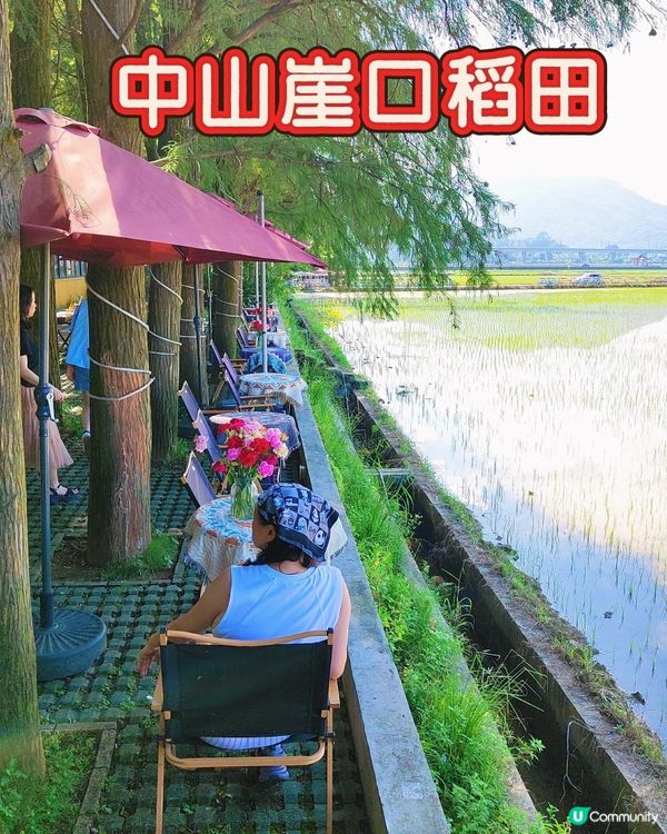 🪻🪻我愛花花之崖口村藍雪花+稻田遊 🌾！ 靚到爆！