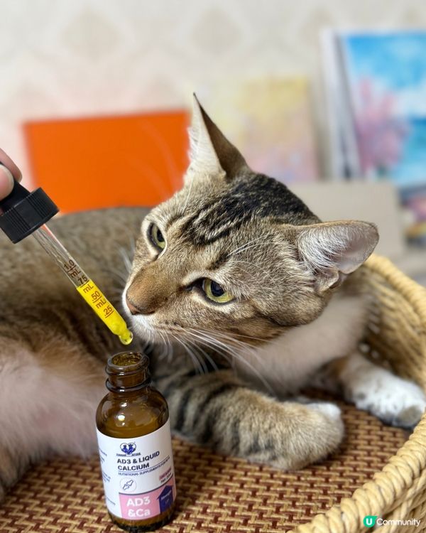 毛孩健康靠晒佢~滴寶營寶開箱🐱 #寵物保健