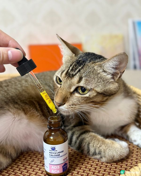毛孩健康靠晒佢~滴寶營寶開箱🐱 #寵物保健