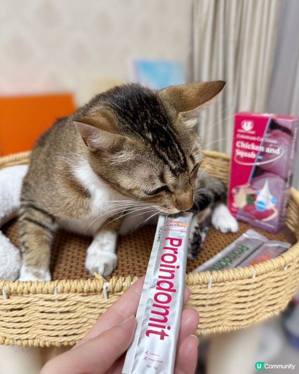 毛孩健康靠晒佢~滴寶營寶開箱🐱 #寵物保健