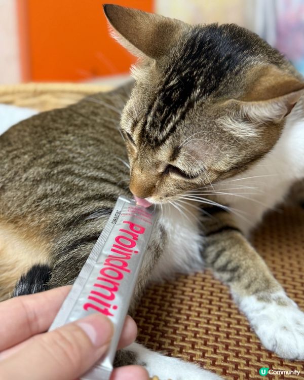 毛孩健康靠晒佢~滴寶營寶開箱🐱 #寵物保健