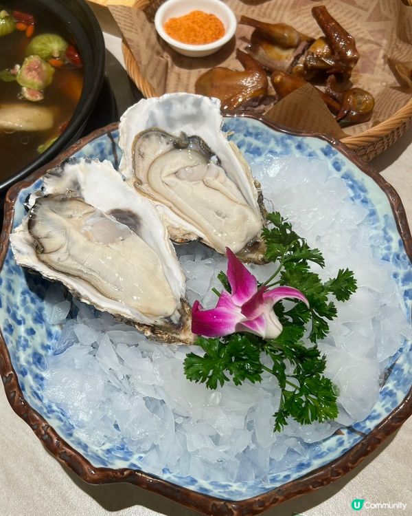 雞煲都養生？健康之選！😋 國貿站必食！