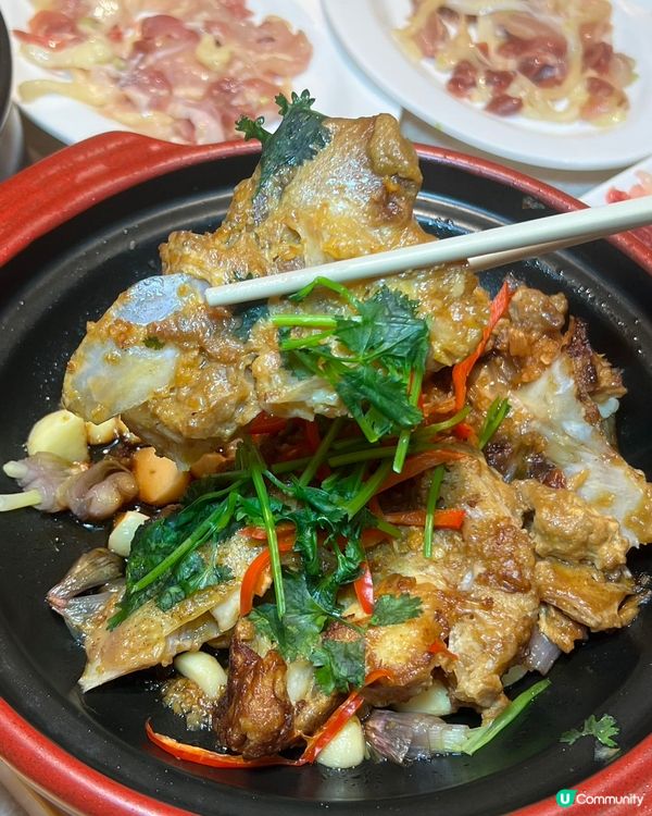 雞煲都養生？健康之選！😋 國貿站必食！