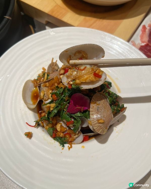 雞煲都養生？健康之選！😋 國貿站必食！