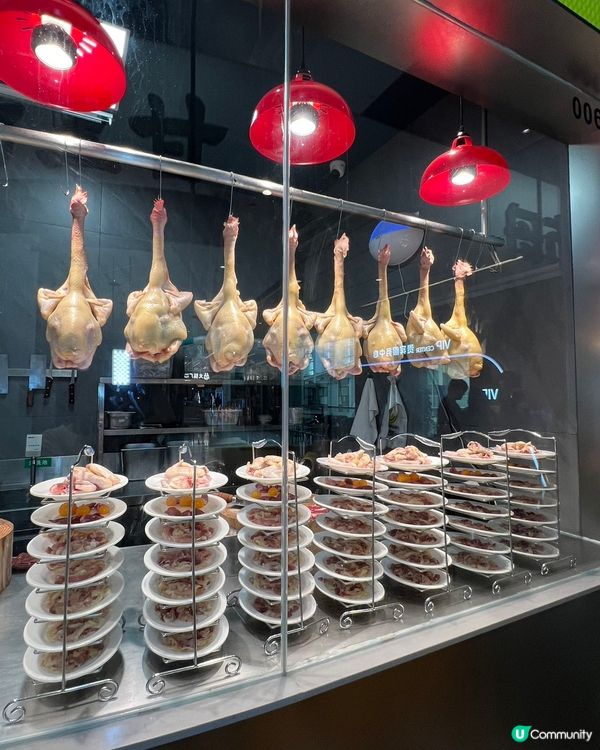 雞煲都養生？健康之選！😋 國貿站必食！