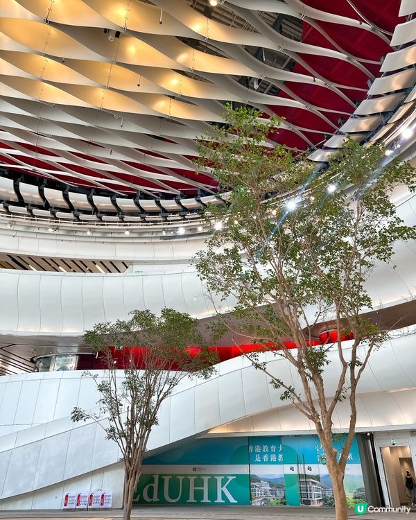 戲曲中心打卡📸！巨型彩燈建築超吸睛✨！ #尖沙咀 