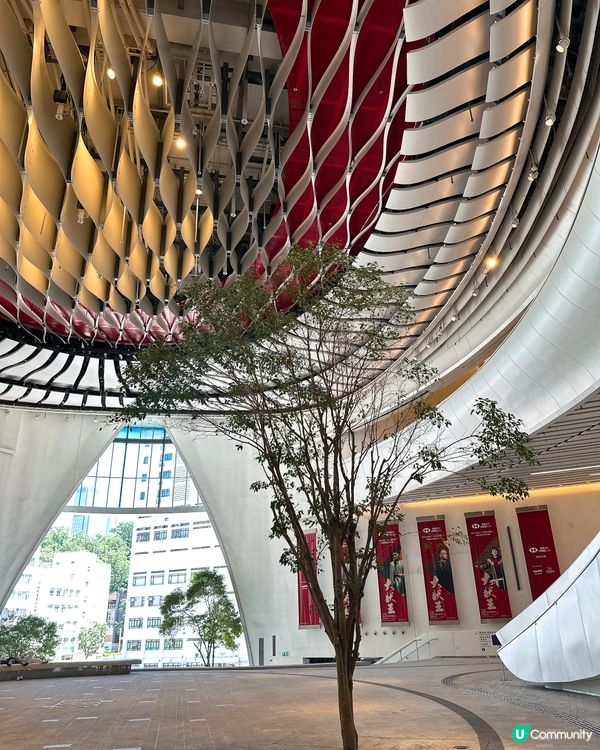 戲曲中心打卡📸！巨型彩燈建築超吸睛✨！ #尖沙咀 